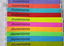 лимпопо
